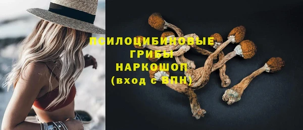 героин Алексин