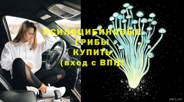 Альфа ПВП Алзамай