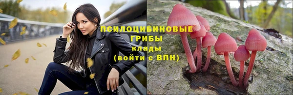 Альфа ПВП Алзамай