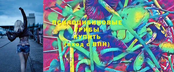 героин Алексин